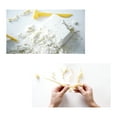 thumbnail image 4 of HamiltonBuhl Paleo Hunter Dig Kit for STEAM Education - Triceratops Rex, 4 of 5