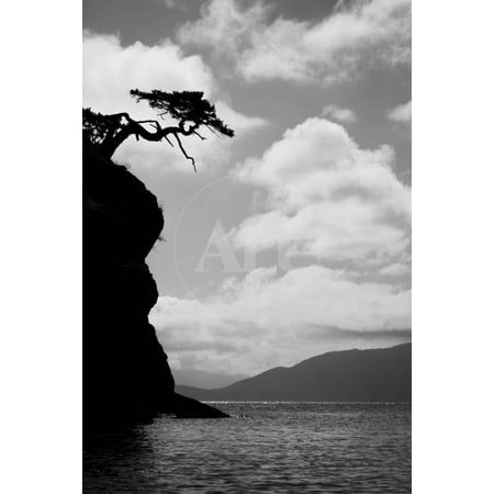 Washington State, San Juan Islands Weathered Fir Tree Silhouette on Matia Island, Botanical Unframed Photographic Print Wall Art by Jaynes Gallery Sold by ArtCom