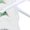 white-style, variant on 2024 Chemistry Formulas Women Or Men Lace Up Flat Sneakers Female Mesh Walking Footwear