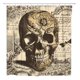 thumbnail image 1 of Cortina de Ducha ABPHQTO Calaveras Vintage Retro Beige 150x180 cm, 1 of 1