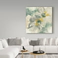 thumbnail image 2 of Trademark Fine Art 'Silver Quince I' Canvas Art by Chris Paschke, 2 of 3