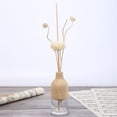 thumbnail image 4 of CHUANK 30pcs Rattan Reed Sticks Natural Fragrance Straight Reed Diffuser Aroma Oil Diffuser Rattan Sticks, 4 of 8