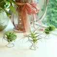 thumbnail image 3 of Paquete de 5 soportes para plantas, soportes para plantas, soporte para plantas purificadoras de Tillandsias, soporte para helechos, color plateado, 3 of 5