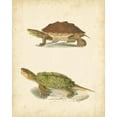 thumbnail image 2 of Hill, J.W. 12x14 Gold Ornate Wood Framed with Double Matting Museum Art Print Titled - Turtle Duo II, 2 of 4