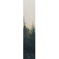 thumbnail image 2 of Iafrate, Sandra 7x18 Gold Ornate Wood Framed with Double Matting Museum Art Print Titled - Pacific Northwest Panel VI, 2 of 4
