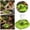 Green, variant on 2-in-1 Automatic Pet Feeder & Water Dispenser Integrated Reptile Water & Food Bowl with Built-in Reservoir Terrarium Water Dish Feeding Accessories for Turtles Tortoises Lizards