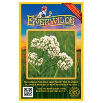 Everwilde Farms - 300 Anise Herb Seeds - Gold Vault Jumbo Bulk Seed Packet