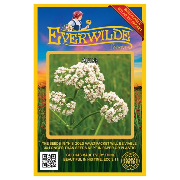 Everwilde Farms - 300 Anise Herb Seeds - Gold Vault Jumbo Bulk Seed Packet