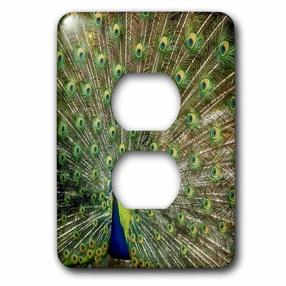 3dRose, Peacock With Feathers All Open, 2 plug outlet cover
