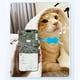 thumbnail image 4 of Dispositivos electrónicos, rastreador GPS, collar rastreador para gatos y perros - Localizador GPS sin cuota mensual compatible con iOS/Android. Collar rastreador para gatos y perros., 4 of 5
