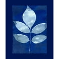 thumbnail image 3 of Zamudio, Dan 20x24 Black Modern Framed Museum Art Print Titled - Cyanotype Birch, 3 of 5