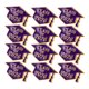 thumbnail image 1 of MERRYHAPY 12Ud Pines Broches Para Graduación 2026 Decorativos Para Y Fiestas, 1 of 6