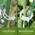thumbnail image 4 of Miangastore 300Pcs Garden Plastic Clips Plant Clips PP Support Stalks Agriculture, 4 of 9