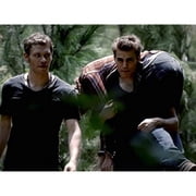 يوميات مصاص الدماء: الموسم الثالث الكامل [dvd]