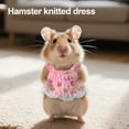 thumbnail image 4 of BULLPAW Small Pet Dress Mini Knitted Ferret Clothes Handmade Hamster Princess Skirt for Rabbit Guinea Pig Squirrels Chinchilla, 4 of 7