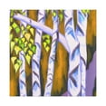 thumbnail image 1 of Birch Tree Splendor - Canvas, 1 of 10
