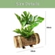 thumbnail image 2 of Macetas de madera creativas, simulación de plantas verdes, bonsáis, artículos para el hogar, pequeños adornos, simulación de plantas, hojas impresas en seda., 2 of 5