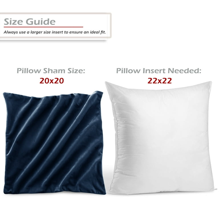  Throw Pillow Inserts Pack of 2 with Velvet Soft Solid