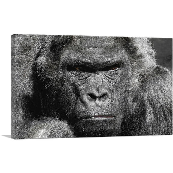 ARTCANVAS Angry Gorilla Home decor Canvas Art Print - Size: 26" x 18" (1.50" Deep)