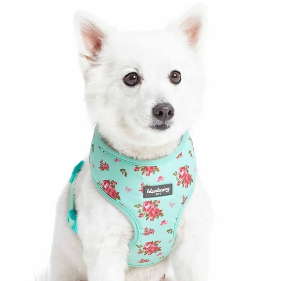 Blueberry Pet Soft & Comfy Spring Scent Inspired Floral Turquoise Dog Harness Vest, Chest Girth 13" - 16", X-Small, Adjustable Harnesses for Dogs