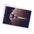 thumbnail image 3 of Painting, Convenient Bright  Exquisite Natural Practical Decorative Painting  For Offices For Bedrooms For Kitchens For Living Rooms, 3 of 8