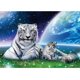 thumbnail image 1 of Kit de pintura de diamantes (DE5968) tigre madre niño imagen de diamantes de imitación de resina redonda completa 45x60cm FLhrweasw Nuevo, 1 of 1