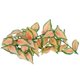 thumbnail image 3 of Planta simulada de ratán, simulación de plantas acuáticas, ratán, pecera, paisajismo, planta de plástico, ratán, valor excepcional Jadeshay A, 3 of 8