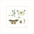 thumbnail image 2 of Great Art Now Green Fields X by Lisa Audit, Framed Wall Art, 13.25W x 13.25H, 2 of 3
