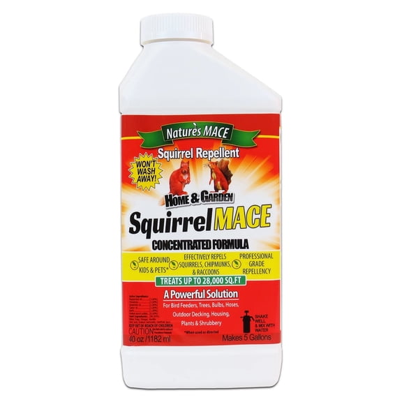 Nature's MACE Squirrel Repellent, 40oz Concentrate, Repels Squirrels, Chipmunks, Raccoons
