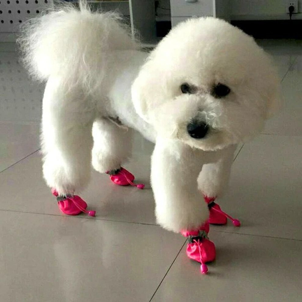 non skid booties for dogs