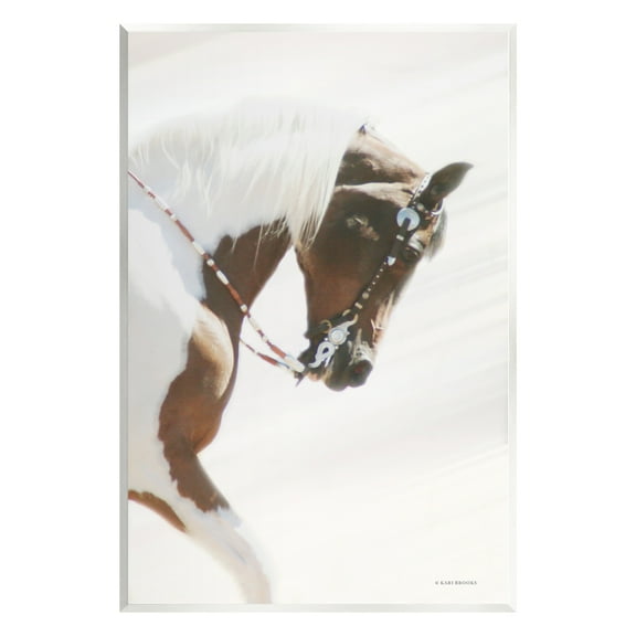 Stupell Industries Galloping Horse with Halter Animals & Insects Photography Unframed Art Print Wall Art, 10 x 15