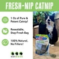 thumbnail image 3 of Van Ness Plastics Pureness Fresh Nip Organic Catnip 1oz, 3 of 5