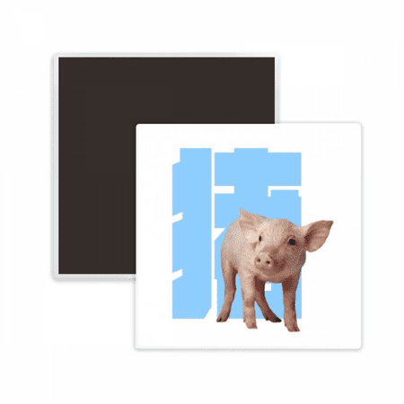 

Pig Noun Display Instruction Square Ceracs Fridge Magnet Keepsake Memento