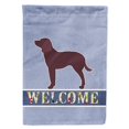 thumbnail image 1 of Carolines Treasures BB5505GF American Water Spaniel Welcome Garden Size Flag, 1 of 3