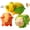 Vegetable, variant on MAICHUNNN 2-Pack Squeaky Pig Dog Toys - Durable Rubber Chew Toys with Oinking & Grunting Sounds for Small, Medium & Large Dogs - Interactive Latex Puppy Toy Set