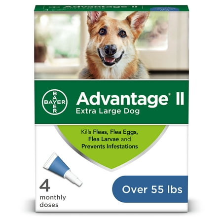 Advantage II Flea Treatment for Extra-Large Dogs, 4 Monthly