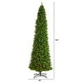 thumbnail image 4 of Nearly Natural Slim Mountain Clear Prelit LED Green Decorated Pine Christmas Tree, with 3235 Tips 12', 4 of 12