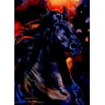 thumbnail image 3 of Untamed Spirits by Jan Taylor [ASN34603] Blank Horse Note Card Assortment - 12 Cards Featuring a Full-Color Interior and Colorful Envelope, 3 of 9