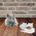 thumbnail image 3 of LEORX 1Pack Double Pet Bowls Plastic Dog Drinking Bowl for Pet Owners Shop Use, 3 of 8
