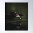 thumbnail image 2 of Duck Yoga Poster Wall Art, Modern Wall Decor For Living Room Bedroom, 16x24 UNFRAMED, 2 of 3