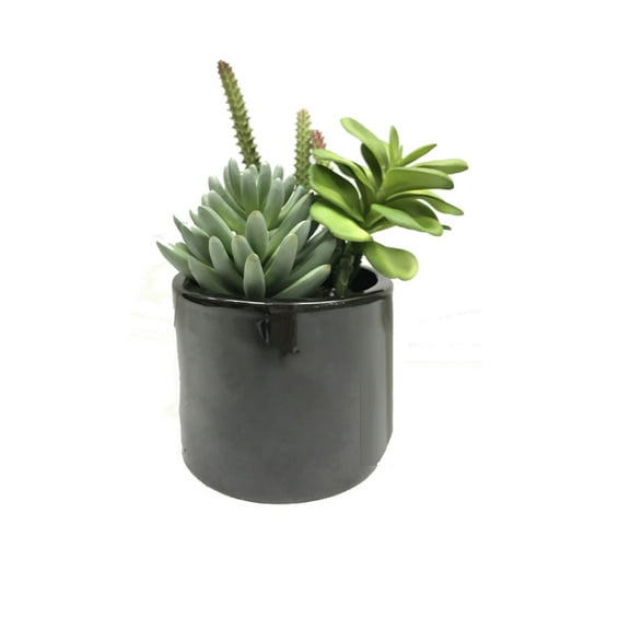 Vickerman 8" Artificial Green Succulents in Cement Pot.