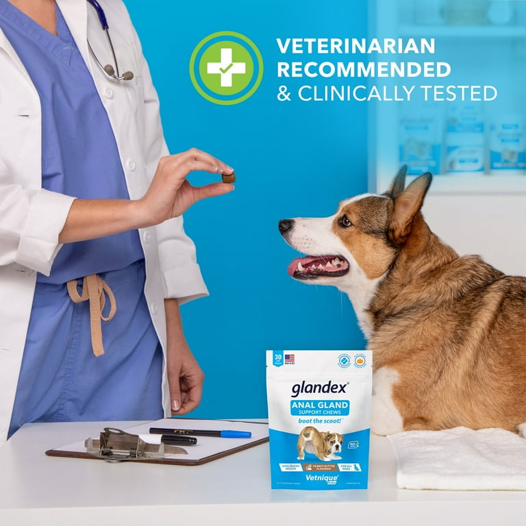 Glandex  Pets Drug Mart Canada