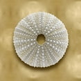 thumbnail image 2 of Kelly, Caroline 20x20 White Modern Wood Framed Museum Art Print Titled - Ocean Gem on Gold V, 2 of 4
