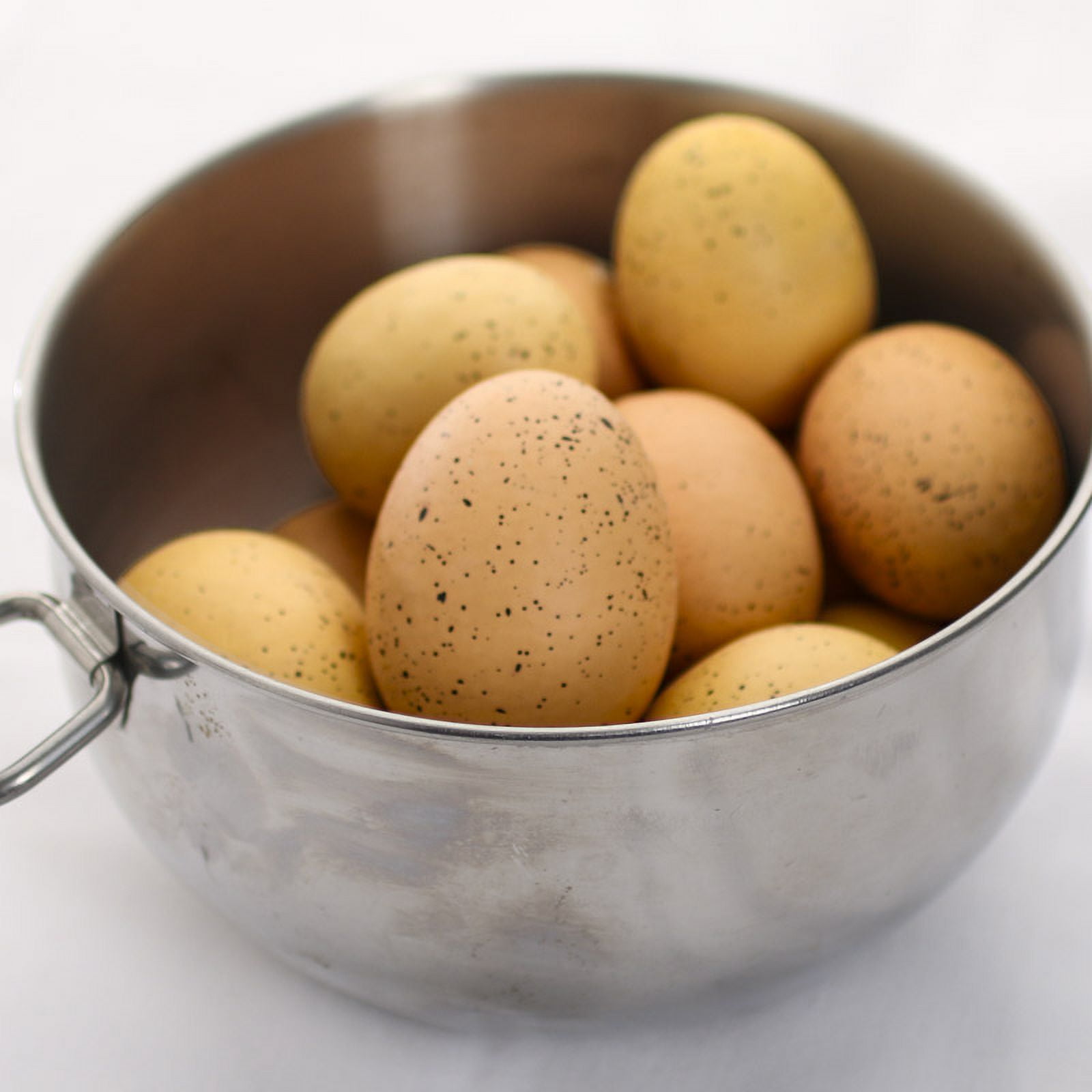 36 Assorted Brown Easter Egg Display Set: Speckled Eggs - Ideal for Easter Decor, Baby Showers, and Spring Displays