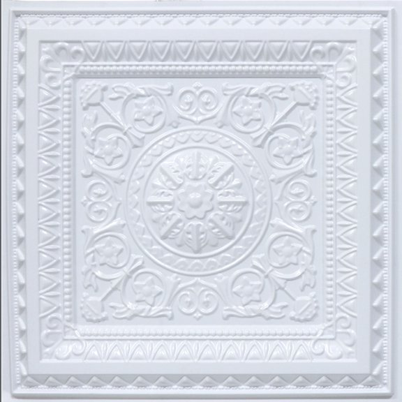 223 - Economy 2 ft. x 2 ft. Drop-in PVC Ceiling Tile in Plain White (40 Sq. ft. / Pack) - 10 Pieces
