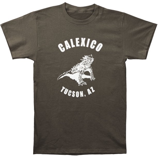 Calexico Calexico Men's Horned Toad Slim Fit Tshirt Small Grey