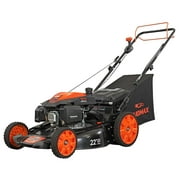 Yard Max 22 in. 201cc SELECT PACE 6 Speed CVT High Wheel RWD 3-in-1 Gas Walk Behind Self Propelled Lawn Mower