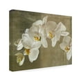 thumbnail image 2 of Symposium Design 'Painted Orchid' Canvas Art, 2 of 4
