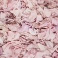 thumbnail image 5 of SAFAVIEH Rio Cassandra Confetti Polyester Shag Area Rug, Light Pink, 2'6" x 4', 5 of 5