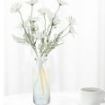 Glass Vase Pretty Desktop Vase Planter Terrarium for Hydroponics Plants
